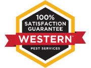 100% satisfaction guaranteed