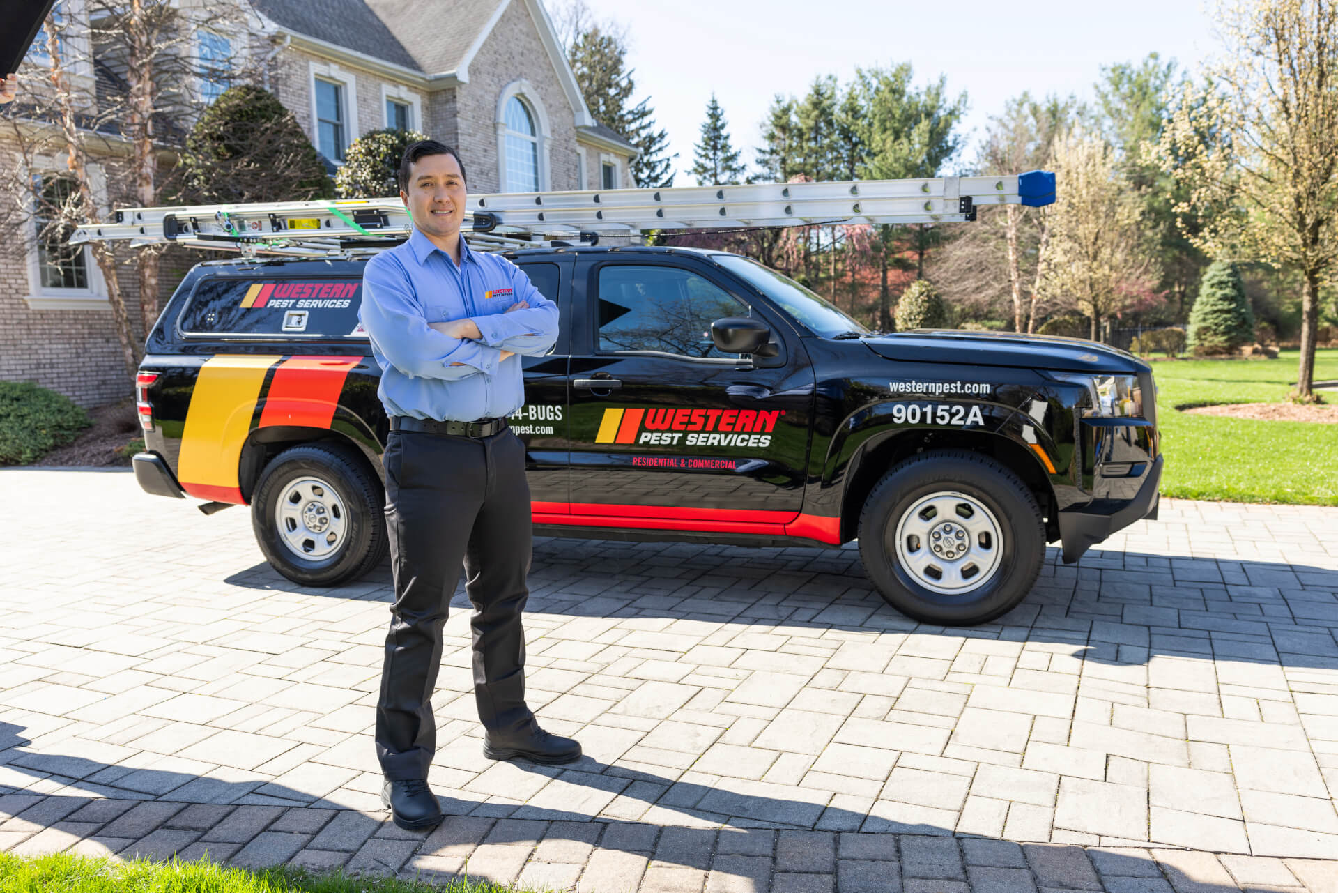 Western Pest How We Get Rid Of Ants