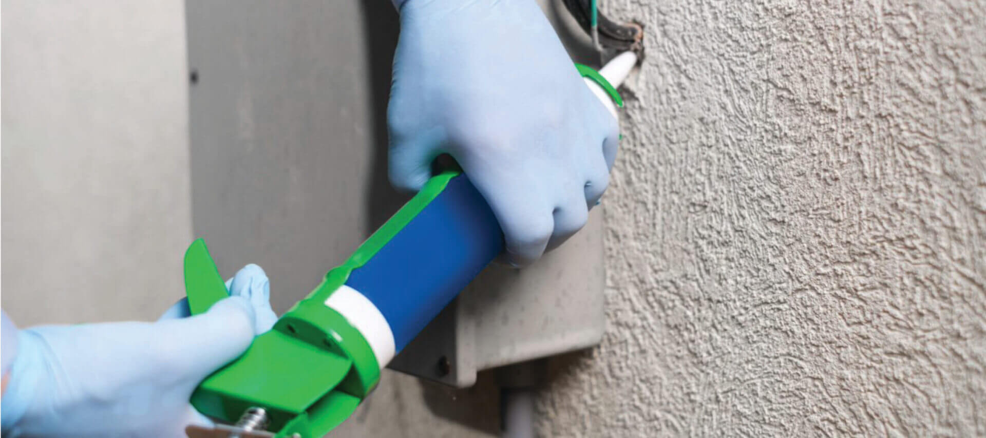 What Is Pest Exclusion? Western Pest Services