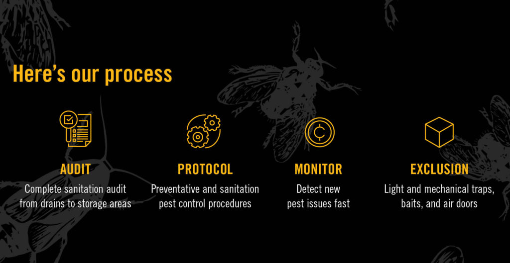 our pest management process
