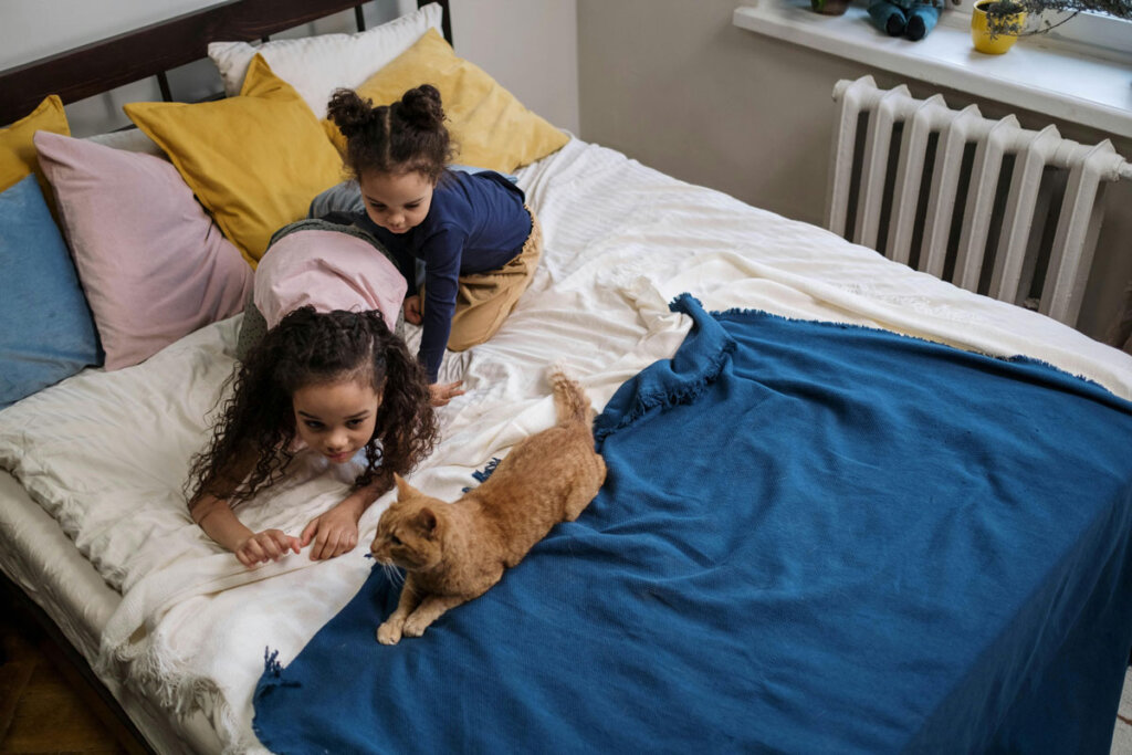 Pest Control Safety for Pets & Children What Every Homeowner Should Know