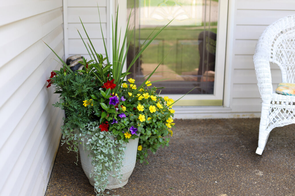 A multicolored potted plant on a porch in front of a residential home