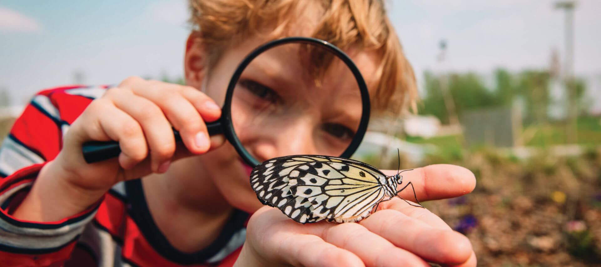 Considering A Career in Entomology? - Western Pest Services