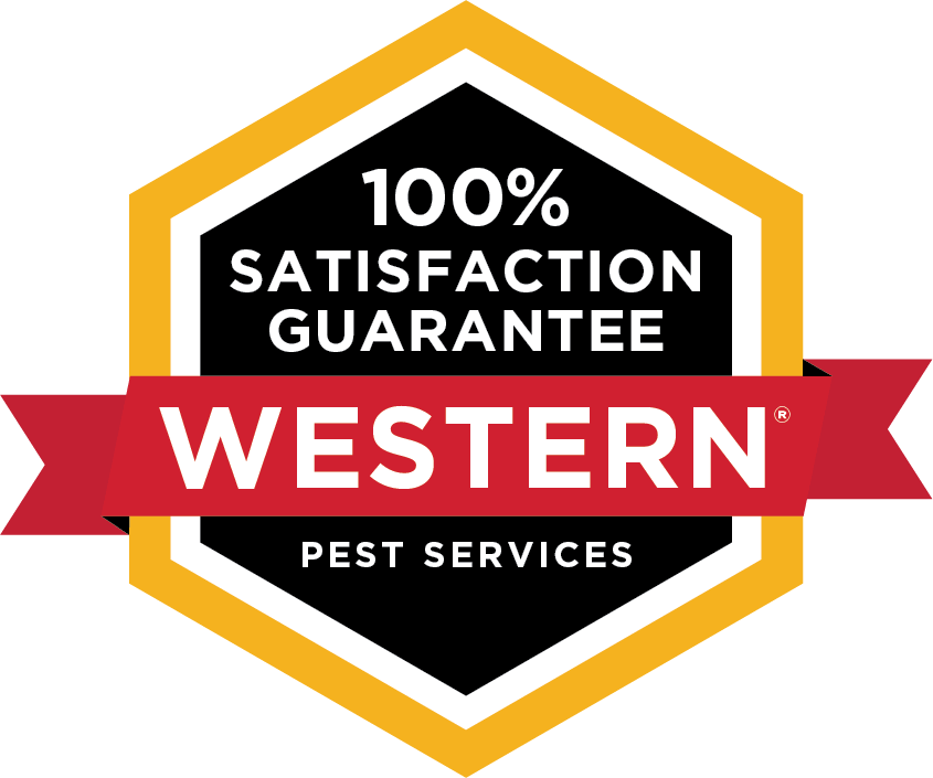 100% satisfaction guaranteed