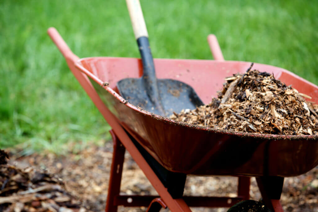 Termites & Mulch Facts Does Mulch Attract Termites?