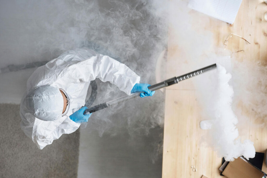 Why Businesses Need Professional Mosquito Control Solutions