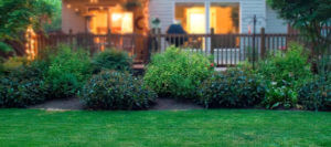 Western pest control services at Western Pest Services.