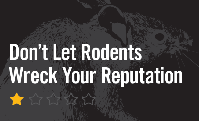 rodents logistics graphic