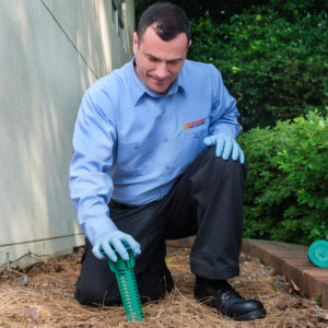 Baiting System - Western Pest Services exterminator installing termite baiting system