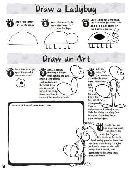 Western Pest bug drawing activity